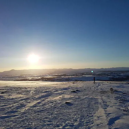 Akurholt 2*