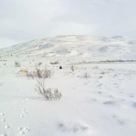 Akurholt بيت ضيافة